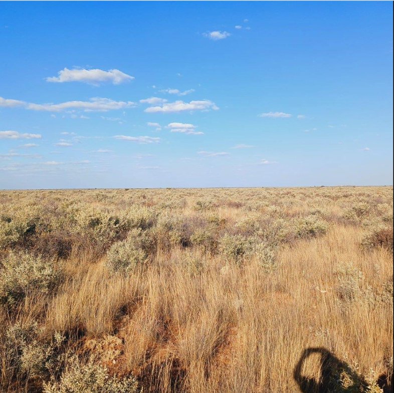 Commercial Property for Sale in Barkly West Rural Northern Cape